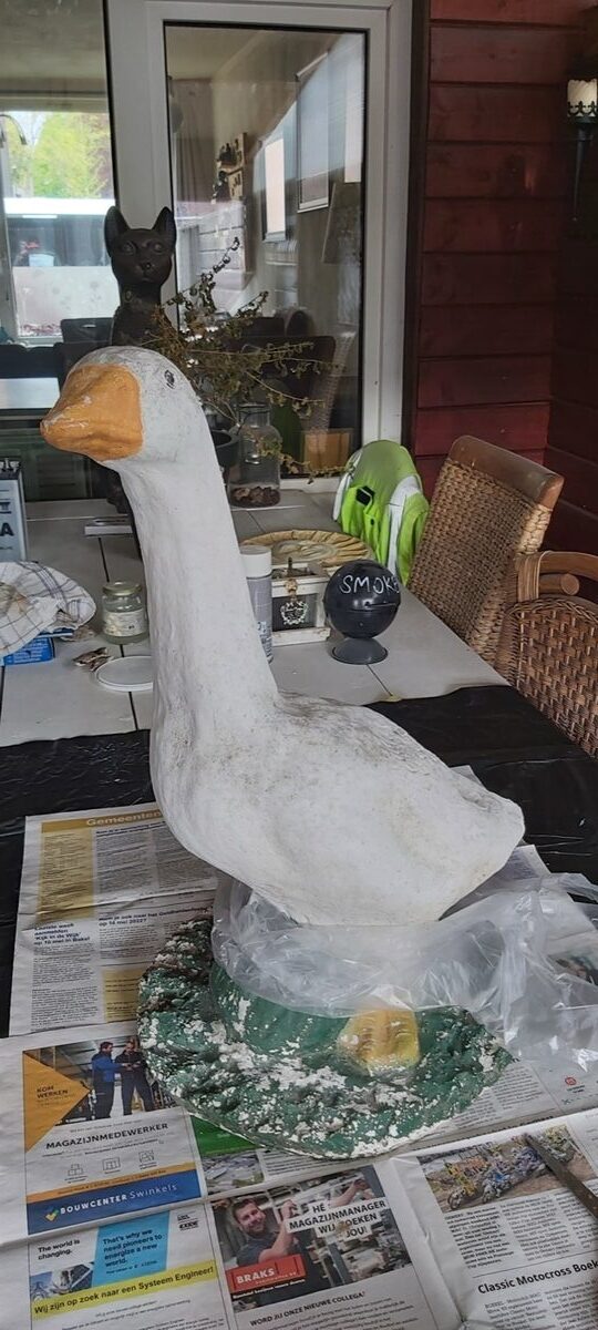 Grote tuinlaag-gans in egale witte basislaag